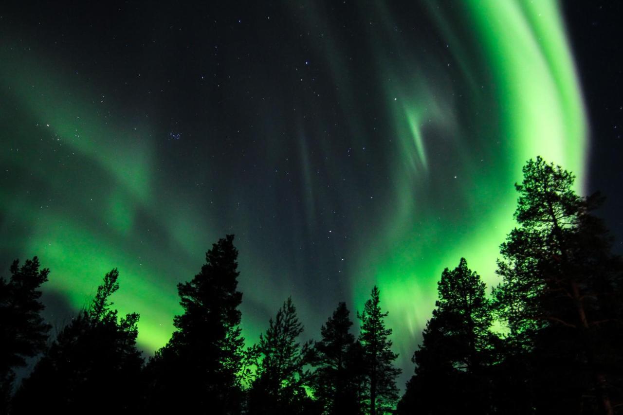 Sorrisniva Arctic Wilderness Lodge アルタ エクステリア 写真